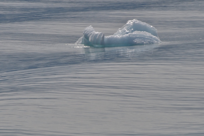 ice flow on glacier bay